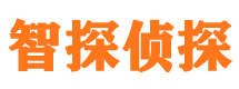 大观寻人公司